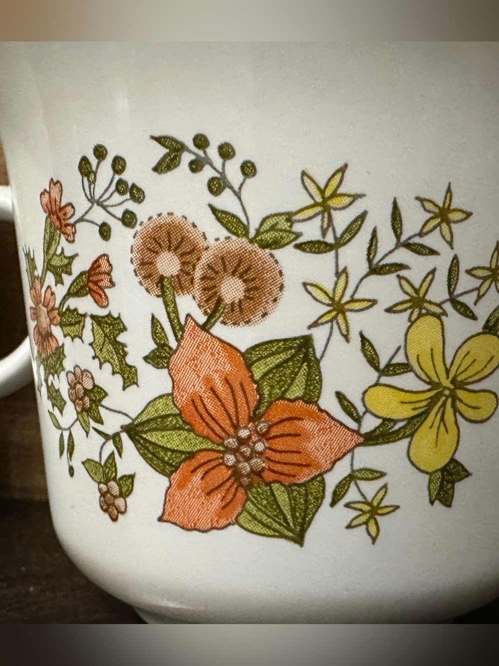 Vintage 1970’s Corning Indian Summer pattern cups set of 4